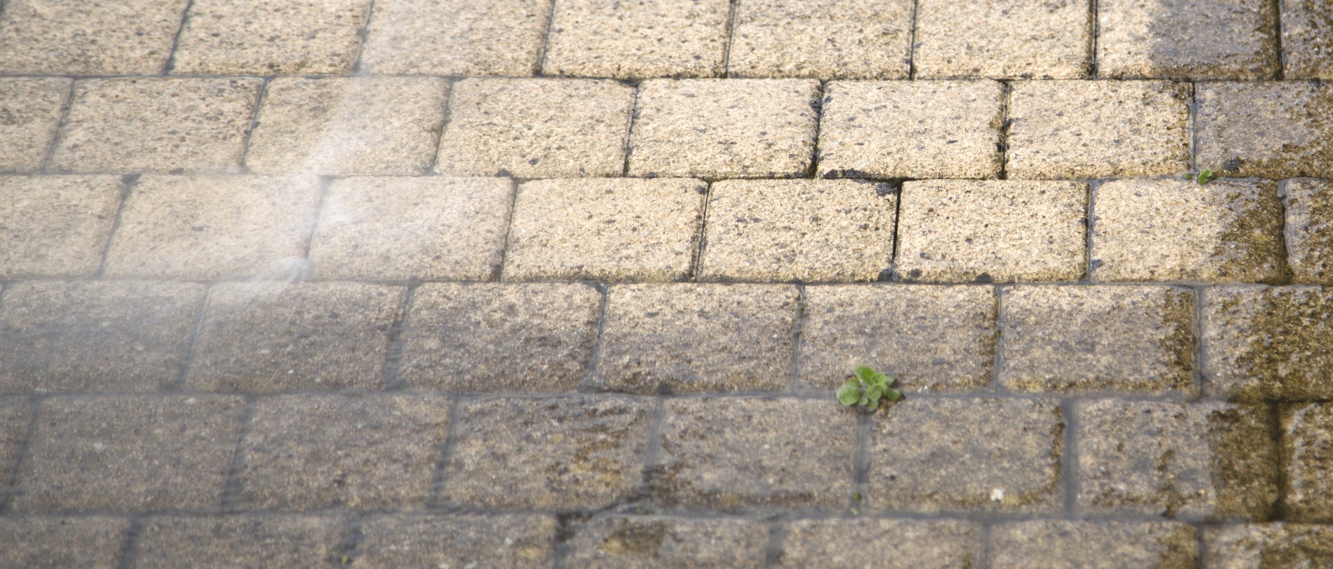 flagging and patios N4